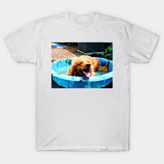 Cool Dawg T-Shirt by kcrystalfriend